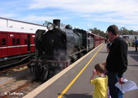 Mornington Railway - Accommodation Tasmania