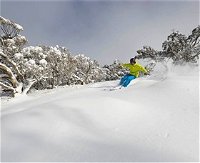 Mt Buller and Mt Stirling Alpine Resort - Accommodation Newcastle