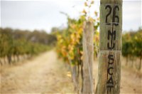Stanton and Killeen Wines - Tourism Canberra