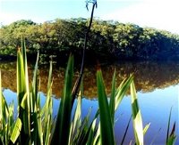 Aura Vale Lake Park - Accommodation Cooktown