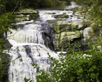 Agnes Falls Scenic Reserve - Accommodation Gladstone