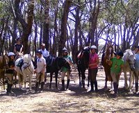 Bellarine Horse Riding Centre - QLD Tourism