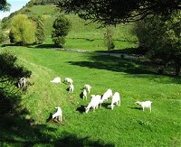 Goats of Gaia Soap - Accommodation Rockhampton