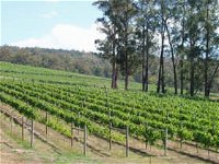 Piedmont Vineyard - QLD Tourism