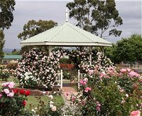 Morwell Centenary Rose Garden - Accommodation in Bendigo