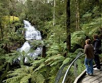 Great Otway National Park - Accommodation Redcliffe