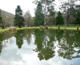 Harrietville VIC Broome Tourism