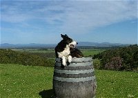 Windy Ridge Vineyard and Winery - Accommodation Rockhampton