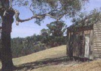 Hawkstowe Picnic Area - Accommodation Rockhampton