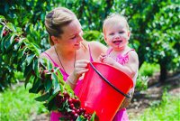 Cherryhill Orchards - QLD Tourism