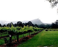 Cambewarra Estate Wines - Tourism Canberra