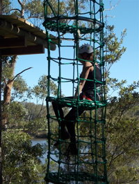 Trees Adventure Shoalhaven - Accommodation Bookings