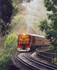 Cockatoo Run - Scenic Tour Train operated by 3801 Limited - Find Attractions