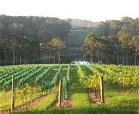 Tilba Valley Wines - Attractions