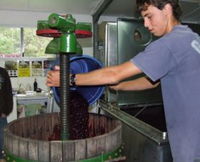 Fern Gully Winery - Gold Coast Attractions