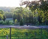 Lyrebird Ridge Organic Winery - Accommodation Cairns