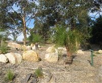 Curtis Park Arboretum - Accommodation Kalgoorlie