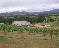 Villa d Esta Vineyard - Accommodation Gold Coast