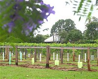 Douglas Vale Historic Homestead  Vineyard - Attractions Perth