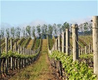 Philip Shaw Wines - Attractions