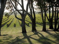 Henry's Drive Vignerons - Port Augusta Accommodation