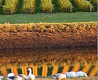 Pipers Brook Vineyard - Find Attractions