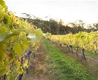 Harcourt Valley Vineyards - Accommodation in Brisbane