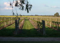 Water Wheel Vineyards - Wagga Wagga Accommodation