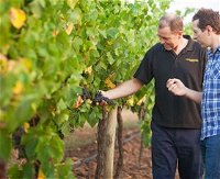 Fratin Brothers Vineyard - Attractions Perth