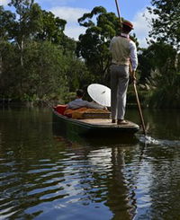 Punt Tours Melbourne - Accommodation Daintree