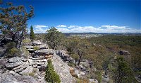 Munghorn Gap Nature Reserve - Accommodation Tasmania
