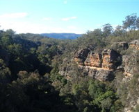 Ferntree Gully Reserve - Melbourne Tourism