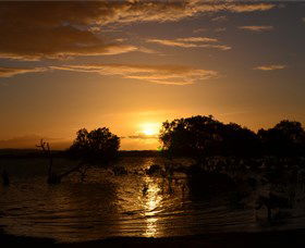 Curtis Island QLD South Australia Travel