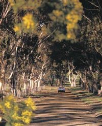 Albert Facey Heritage Trail - Accommodation Australia