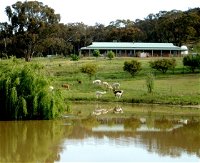 Clearview Alpacas - Accommodation Redcliffe