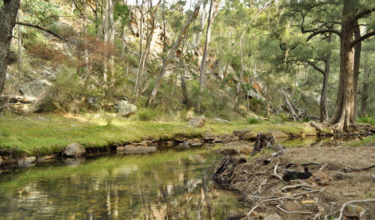 Glen Alice NSW Carnarvon Accommodation