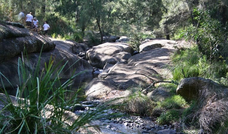 Scone NSW Find Attractions
