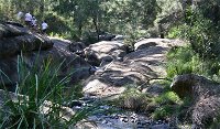 Towarri National Park - Accommodation Tasmania