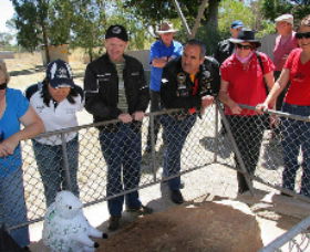 Dalton NSW Accommodation Broken Hill