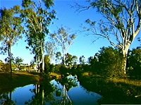 Dingo Creek Park - Accommodation in Brisbane