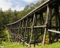 Noojee Trestle Bridge - Holiday Adelaide
