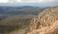 Brindabella National Park - Surfers Gold Coast