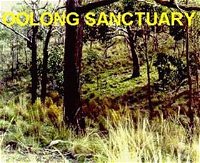 Oolong Sanctuary - Accommodation Noosa