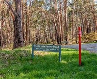 Lobs Hole Ravine 4WD Trail - Attractions Brisbane