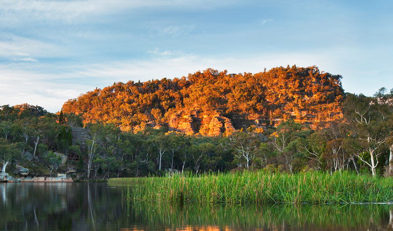 Wirraba NSW SA Accommodation