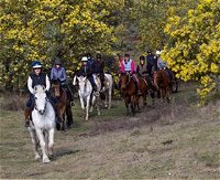 Burnelee Excursions on Horseback - New South Wales Tourism 