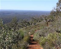 Mount Dale Walk Trail - QLD Tourism