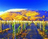 Surveyors Hill Winery - Tourism Canberra
