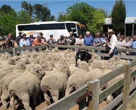 Collinsvale ACT Tourism TAS