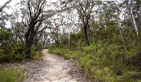 Six Foot walking track - ACT Tourism